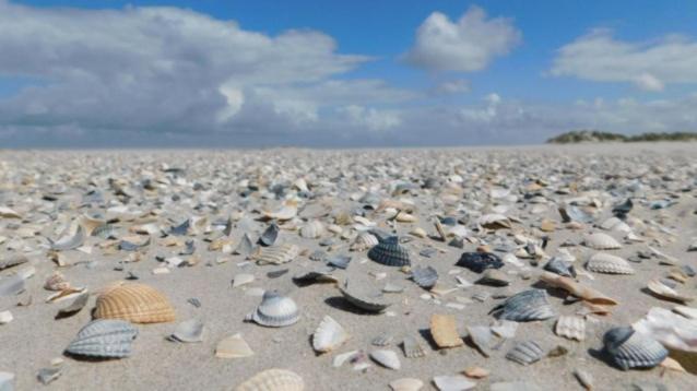 Rust Op De Kust - Villa 10 Pers - 4 Slpk - 2 Badk Middelkerke Kültér fotó
